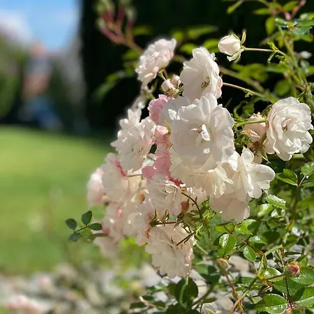 Babette & Bed & Bath 招待所 *