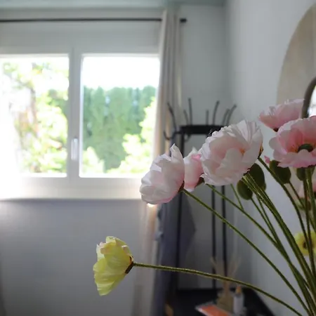 Babette & Bed & Bath