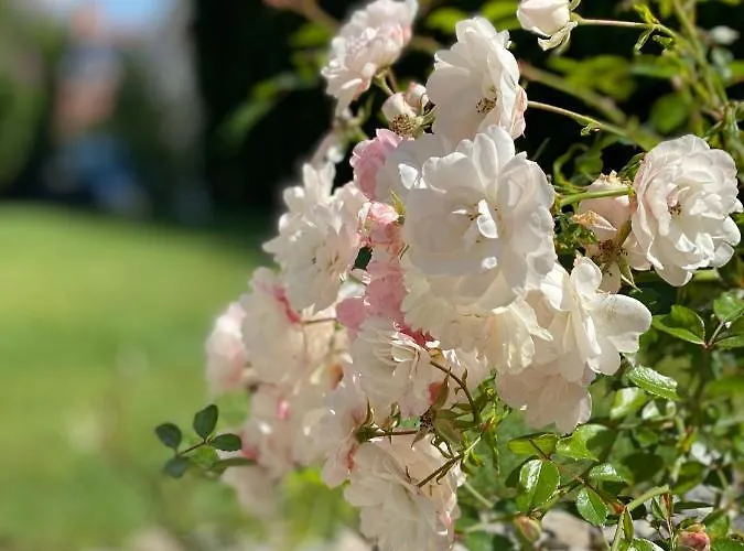 Babette & Bed & Bath بيت ضيافة *